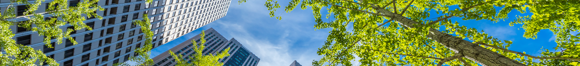 Forestry Banner Urban Trees Services